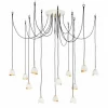 Suspended Shell Spread Chandelier - 12 Light