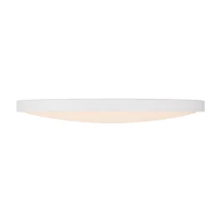 Svelte LED Ceiling Light