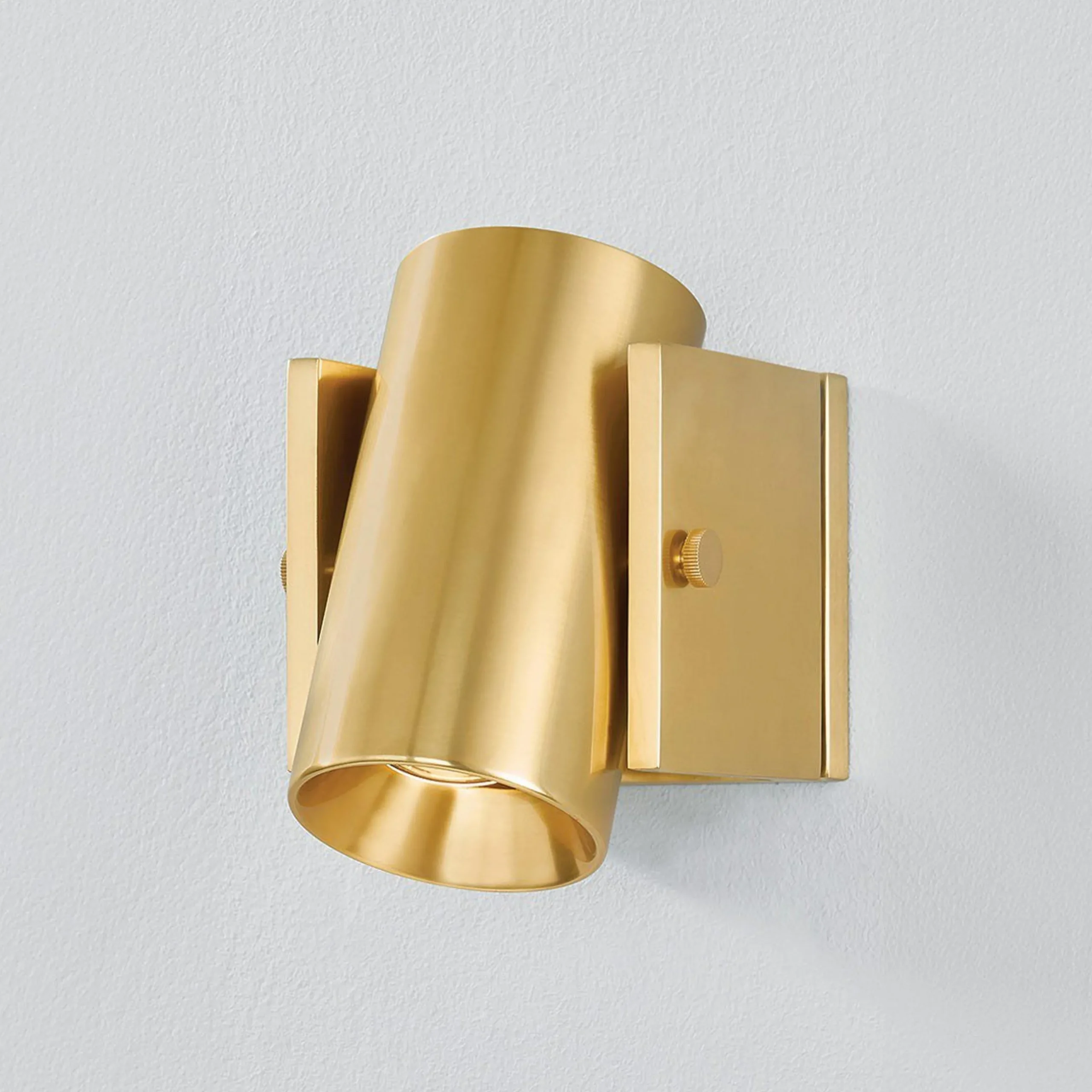 Tempi Spotlight Swing Arm Sconce