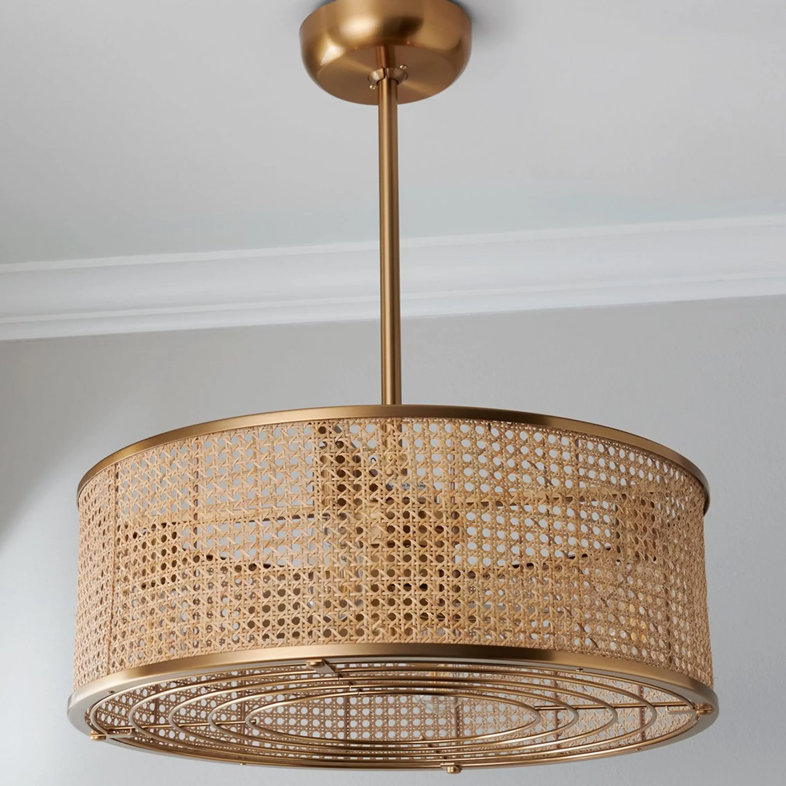25" Transitional Sommer Ceiling Fandelier