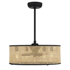25" Transitional Sommer Ceiling Fandelier
