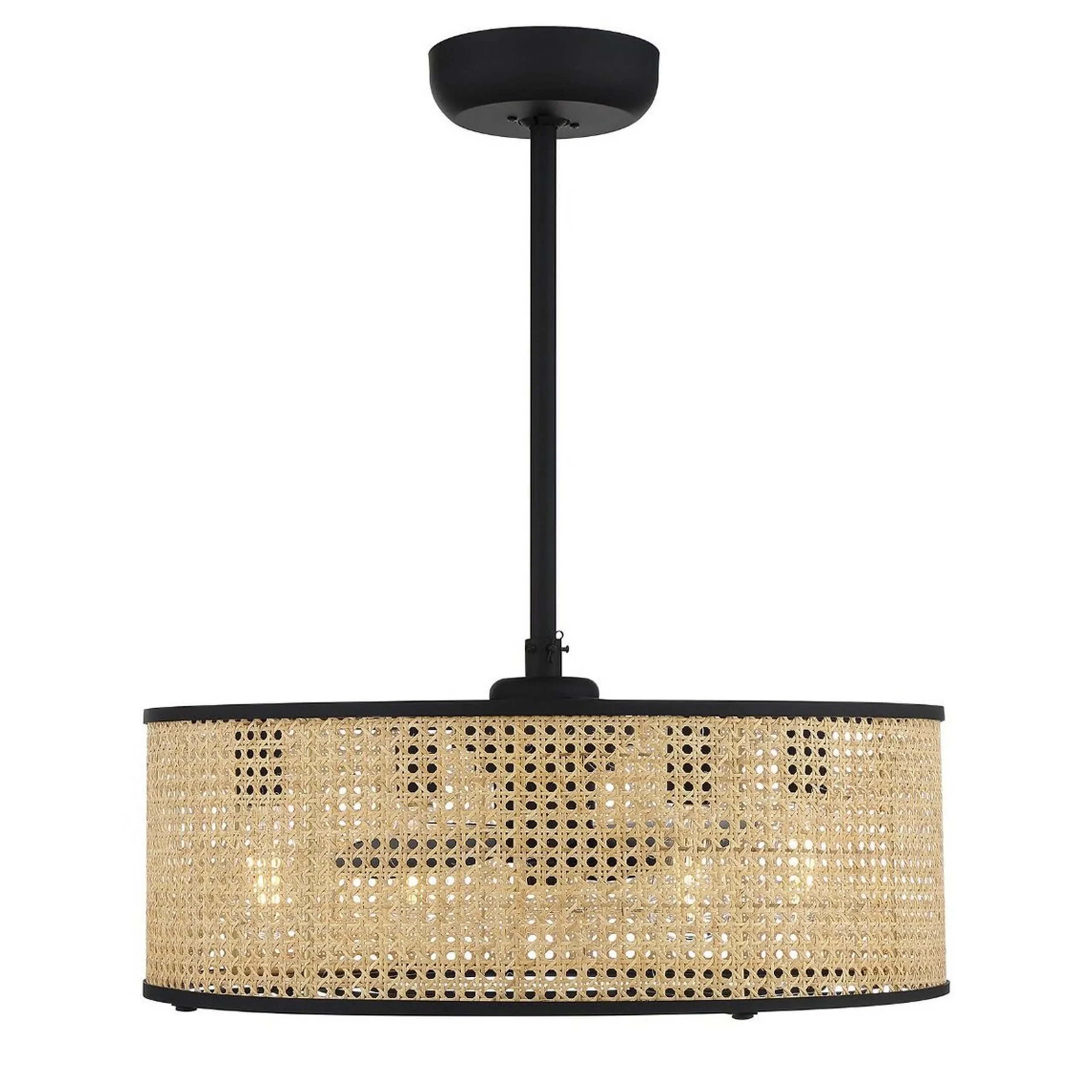 25" Transitional Sommer Ceiling Fandelier