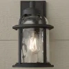 Undulated Outdoor Sconce - 1 Light