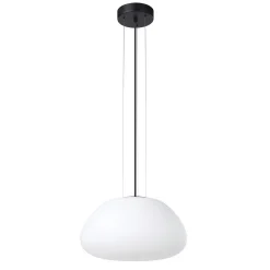 Valetudo Pendant