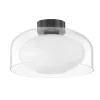 Vasu Ceiling Light