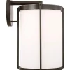 Vincent Opal Glass Outdoor Sconce - Large