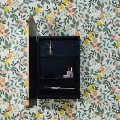 Walmsley Medicine Cabinet Mirror