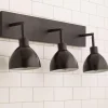 Young House Love Dapper Vanity Light - 3 Light